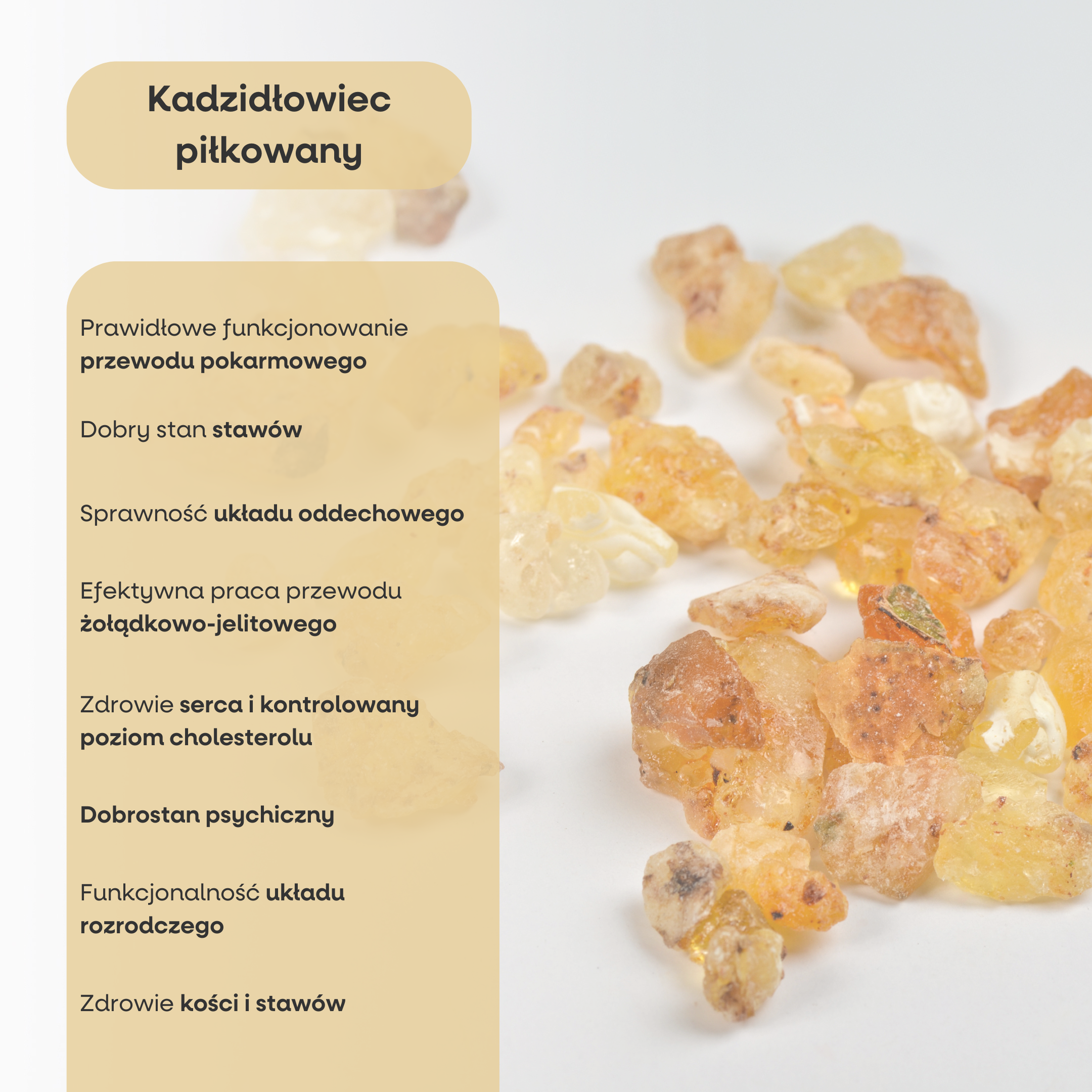 (Polština) (64)